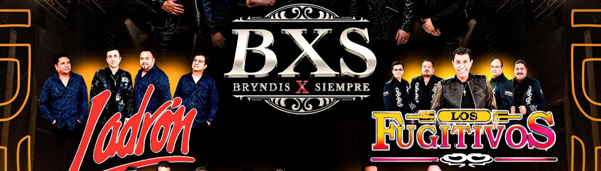 BRYNDIS X SIEMPRE, LADRON & MAS