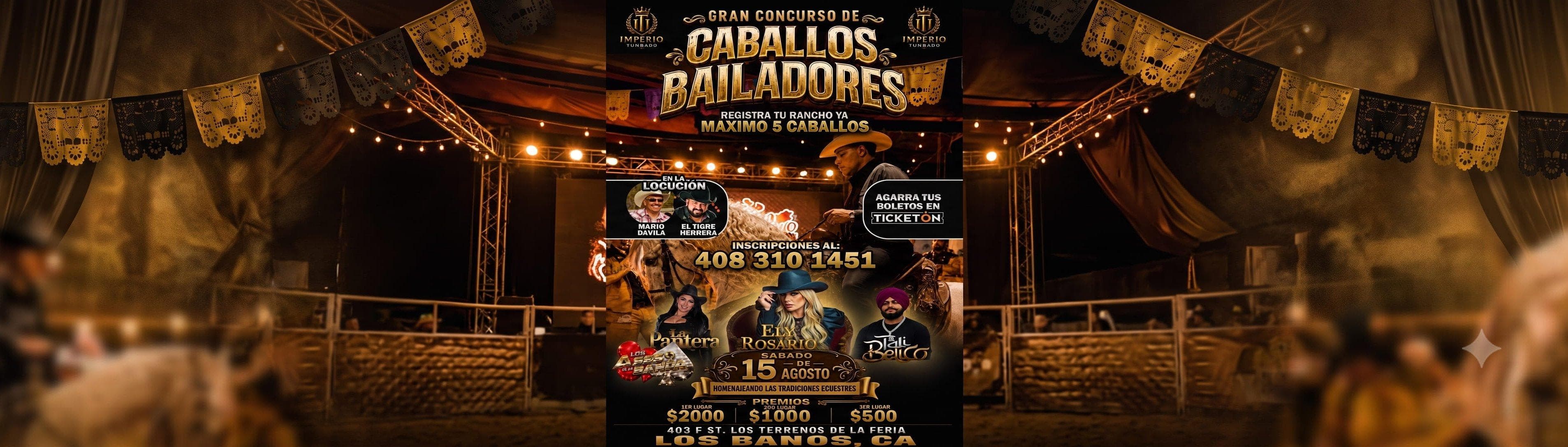 CABALLOS BAILADORES