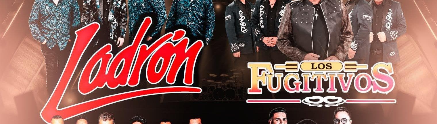 LADRON, LOS FUGITIVOS, LOS MISMOS Y MAS