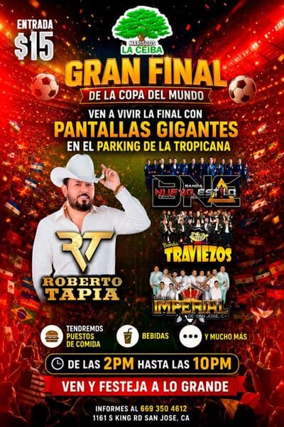 GRAN FINAL DEL MUNDIAL y MAS!